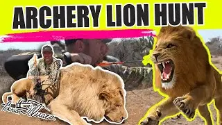 [GRAPHIC] ARCHERY LION HUNT - Pigman Harvests 600 LB Lion with his BOW at ONLY 35 YARDS!! 🤯🤯🤯