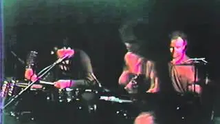 The Feelies - Raised Eyebrows