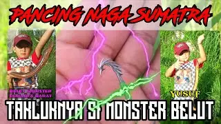 RAJA BELUT SUMATERA BARAT||MANCING BELUT DI BUKITTINGGI