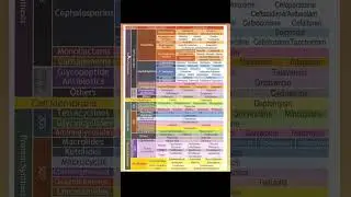 Medicine 💊💉💊 ( inhibit, classification, Antibiotic )