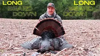 Late Season Long Beard: Pennsylvania Turkey Hunting
