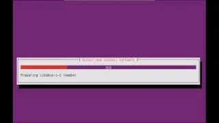 How to install Linux Ubuntu server 16.04 with software RAID 1