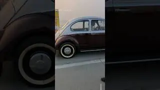 Volkswagen Beetle - Classic Cars Spotting