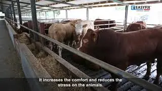 Comfort & Performance on EASYFIX Slat Mats  | James Murphy | Clongill Farm, Co.Meath |