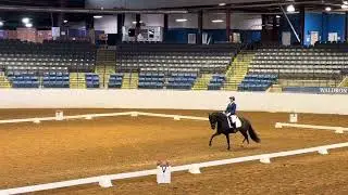 Third level freestyle 