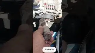 Banda/correa chillona, identificar y quitar el ruido sin herramienta