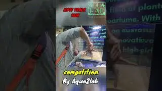 Aquascape Competition in IIPTF trade fair Delhi By Aqua2lab #aquarium #shorts