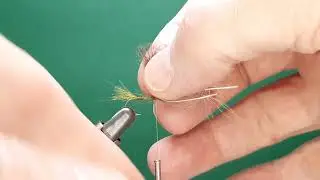 One Fly A Day - Harrop - Dagsl&auml;nda