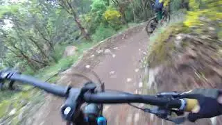 Gold Rush Trail