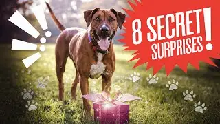 DOGS Can't LIVE Without These 8 SECRET Surprises!