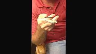 Mahi, Snook, Yellow fin and more Art!  Jun 28, 2017