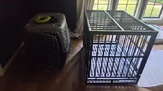 Heavy Duty Dog Crate , Lockable Wheels Metal Escape Proof Dog Cage Kennel Review, such a great