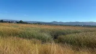 Future Napa South Wetlands Park