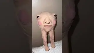 ISSEI funny video 😂😂😂 New Meme Remix