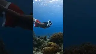 SANTA GIRL WENT FREEDIVING! 🧜🏽&zwj;♀️ #freedive #freediving #freediverlife #freediver #freedivers