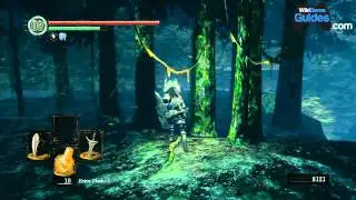 Dark Souls Walkthrough - Dark Souls Guide - Darkroot Garden: Easy Soul Farming (7000 Souls in less than 2 minutes)
