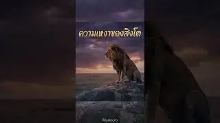 ความเหงาของสิงโต  #music #indiepop #sad #เทรนวันนี้ #เพลงฮิต