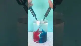 Mixing Blue & Red Ink in Water &ndash; Mesmerizing Ink Flow Experiment! 🎨💧 #shorts  #experiment