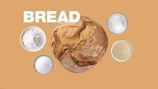Robot Coupe Batteur M&eacute;langeur   Planetary Mixer  THE Solution for dough
