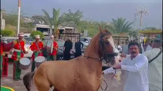 Kotli Azad Kashmir||Signature Morque||Horse Dancing||Welcome||Ch M Yasin||President PPp|Azadkashmir|