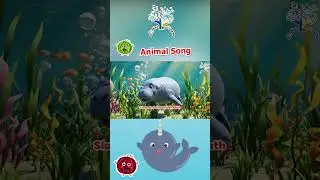 Swim and Play with Dolphin, Manatee, and Narwhal! | Ocean Animal Song for Kids by EduFam