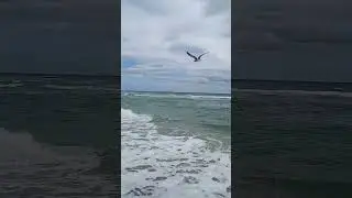 pt1CRYPTO CAPITAL OF THE USA, MIAMI BEACH AREA AND MAKE BLOCKCHAIN FRIENDS