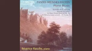 Character Pieces, MA Ms. 44 (selections): VII. Allegro agitato, in G Minor