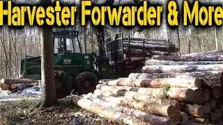 Logset 6F unloading