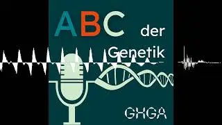 Neandertaler-DNA: Unser Erbe aus der Steinzeit