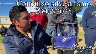 🏆Concurso silvestrismo. Moguer (Huelva)