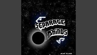 Separate Minds