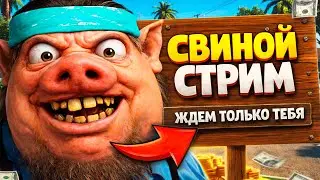 ВЕРНУЛИ ГЕТТО, СТРЕЛЯЕМСЯ, ОБЩАЕМСЯ, СВИНОЙ СТРИМ НА АРИЗОНА РП