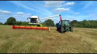 Harvesting Grass Seed using a Conventional Header - Part 2