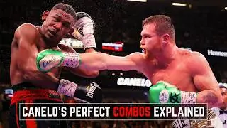 Brilliant... Canelo's VICIOUS Combination Punching Explained - Technique Breakdown