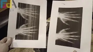 حل مشاكل الخطوط البيضاء والبهتان فى الطباعه لطابعات لكسمارك / كونيكا / توشيبا