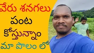 వేరు శనగలు పంట కోత కొస్తున్నం 2022  | visakha agency|