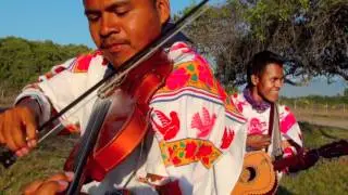 eL PAJONAL Huichol (cover) CARRILLOS MUSICAL