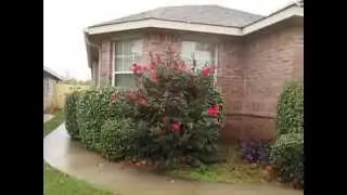 Fort Worth Homes for Rent 3BR/2BA by Fort Worth Property Management