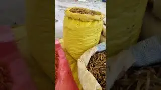 thuthibari market blogs #viral