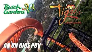 Tigris - Launched Roller Coaster at Busch Gardens Tampa Bay - An On-Ride POV