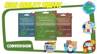 Traffic Ivy by GudangMusik.info