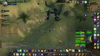 Turtle WoW SA 2v2 arena skirmish random people