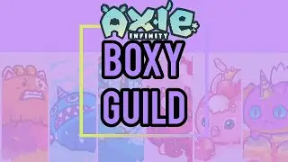 AXIE INFINITY: Team Boxy Video Interview Application Of Prince John AJ R. Bayang a.k.a PrinceTibi