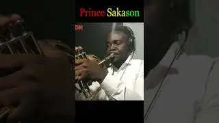 This chilling Flugelhorn Solo is beautiful  #shorts