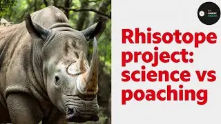 Rhisotope project: Science vs Poaching |