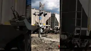 Poor Railroad Crossing Gate Sees Last Trains!  Abandoned Train Stuff, JawTooth #shorts Sea Descript