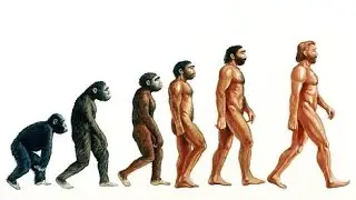 Heredity and Evolution-5. The Concept of Speciation
