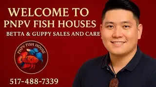 Master the Art of Fish Keeping &ndash; Only at PNPVFISHHOUSES