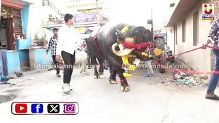 KOLATR || ಸಂಕ್ರಾಂತಿ ಪ್ರಯುಕ್ತ ರಾಸುಗಳ ಮೆರವಣಿಗೆಯಲ್ಲಿ ಗಮನ ಸೆಳೆದ 40 ಲಕ್ಷ ಮೌಲ್ಯದ ಎಮ್ಮೆಗಳು..!