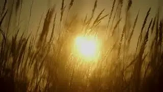 Godsky -  Lyricless Instrumental Music Choir Music - Relaxing Music